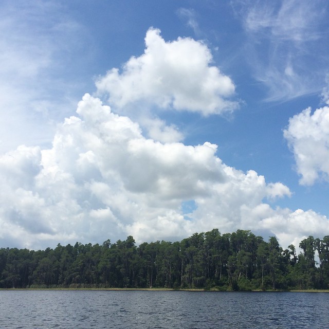 Lake Louisa State Park in Clermont