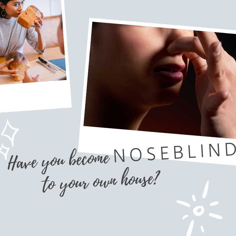 Have You Become Nose-blind to Your Home?